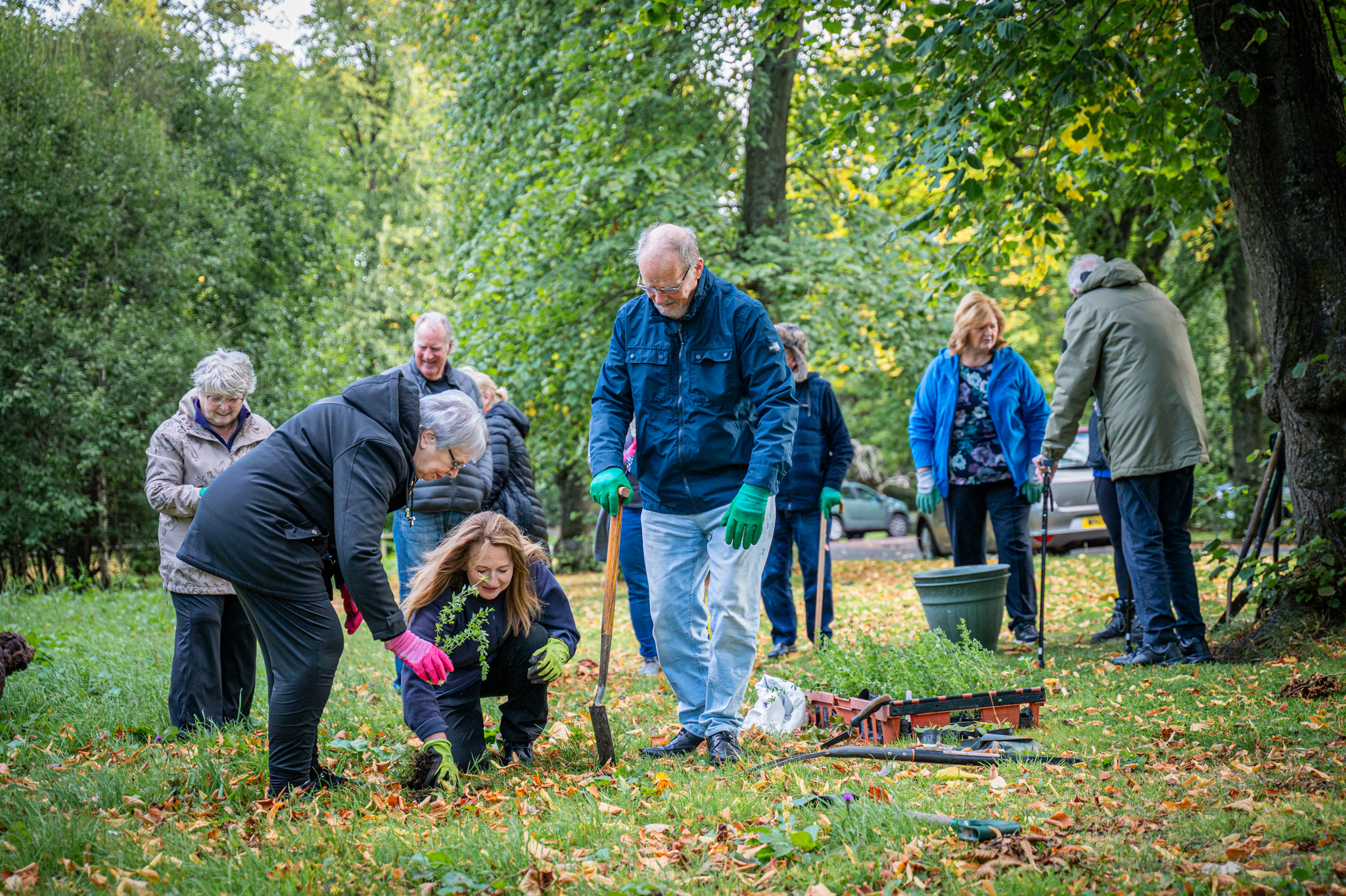 People outdoors helping to plant saplings in a woodland clearing