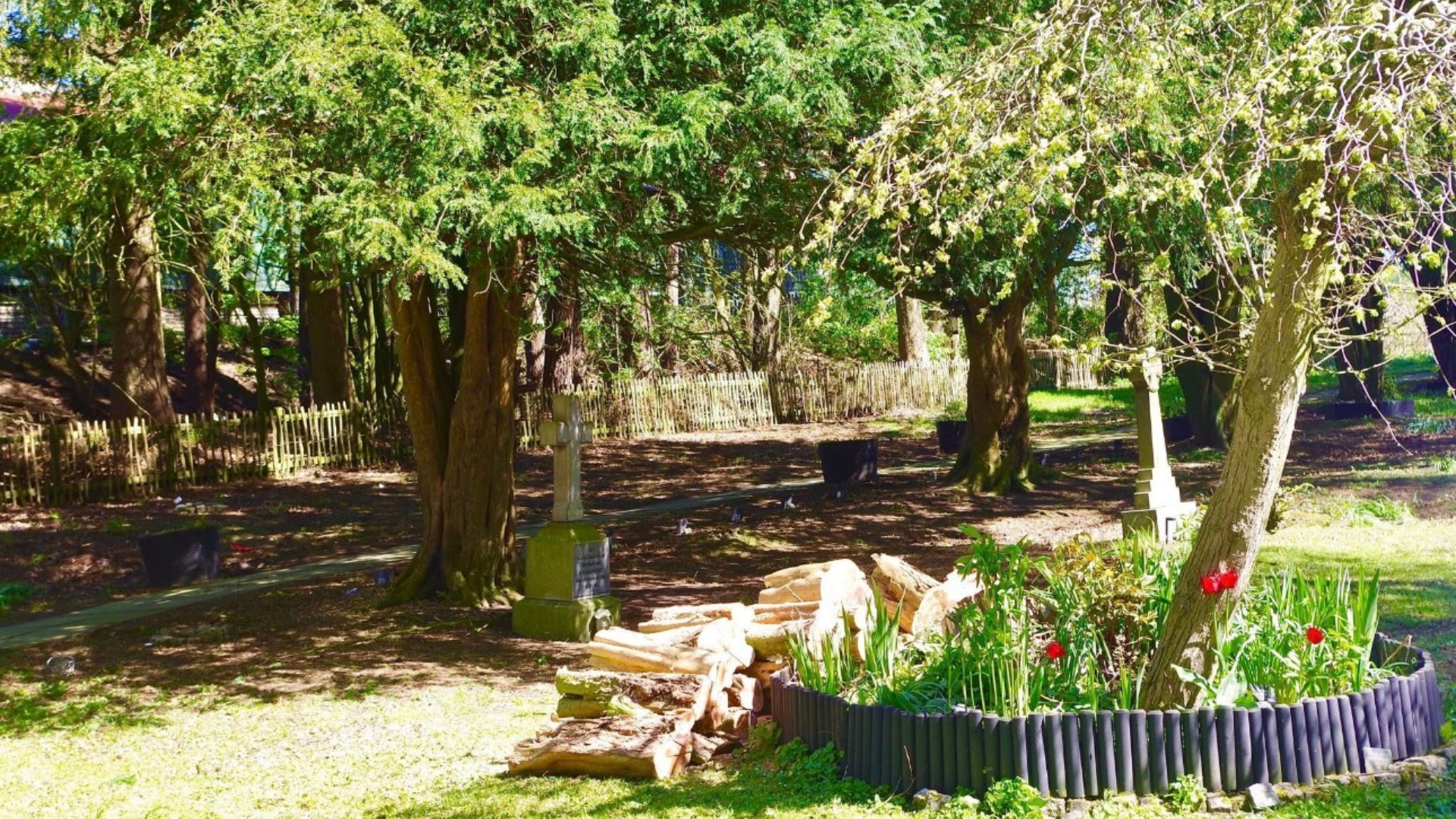 From Forgotten Ground to Flourishing Future