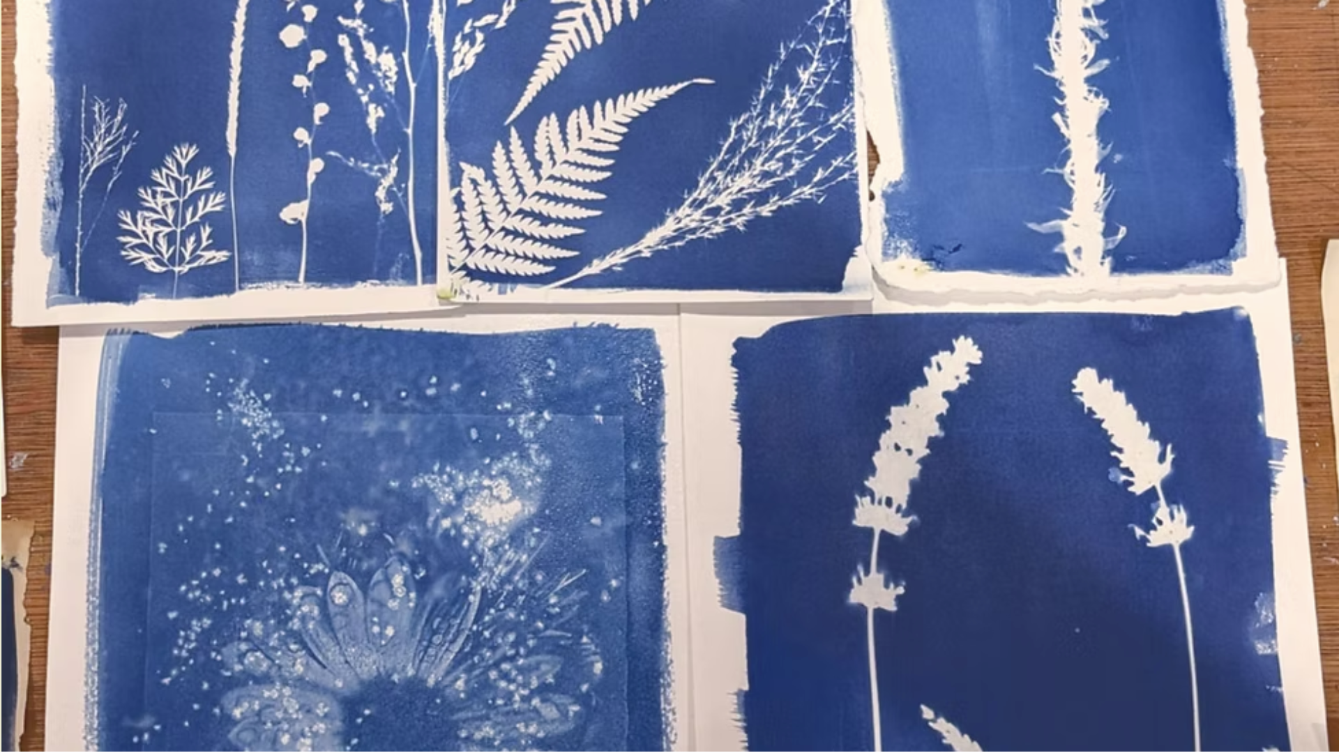 Cyanotype Printing Workshop