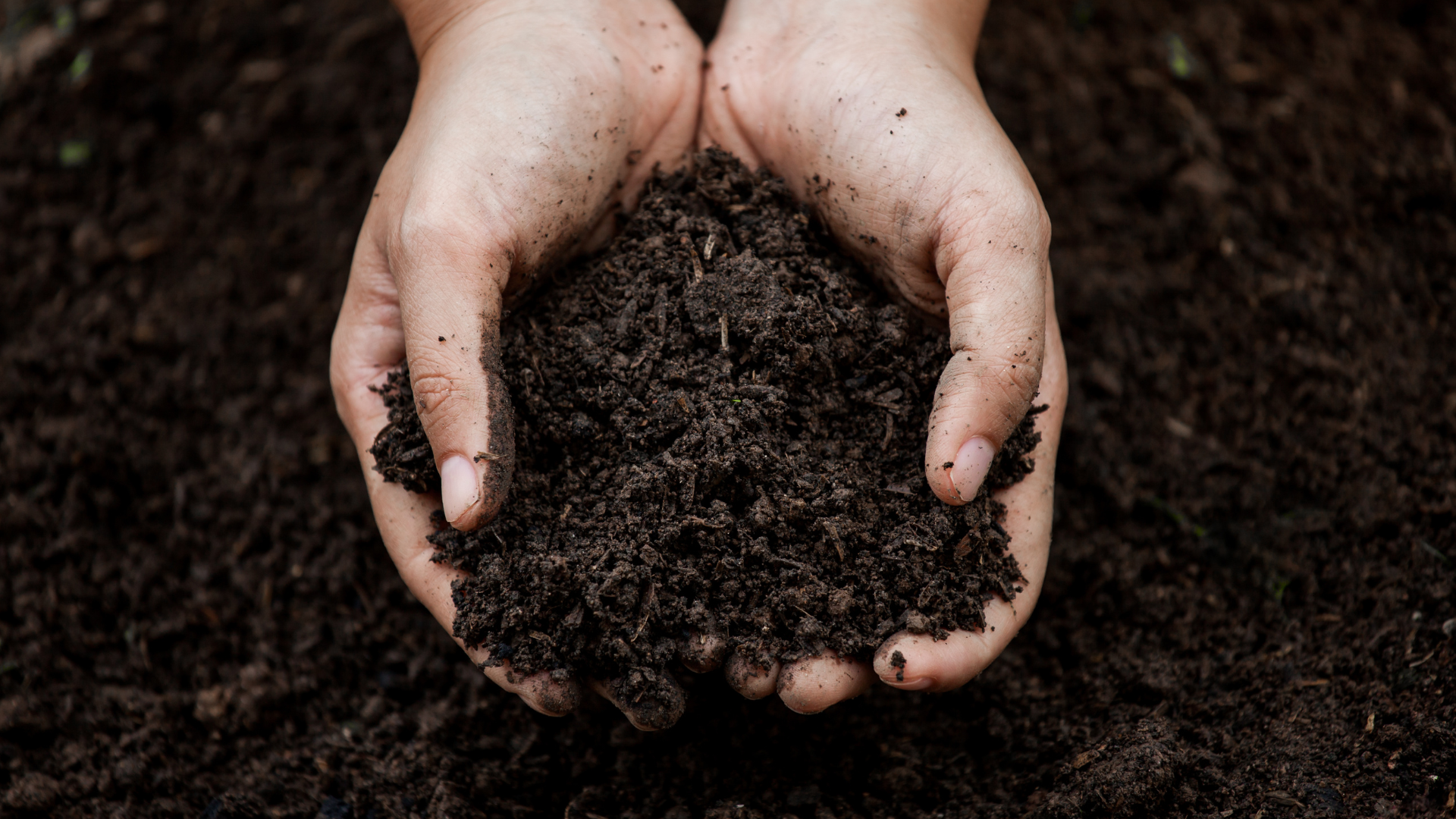 Get to Know Your Soil