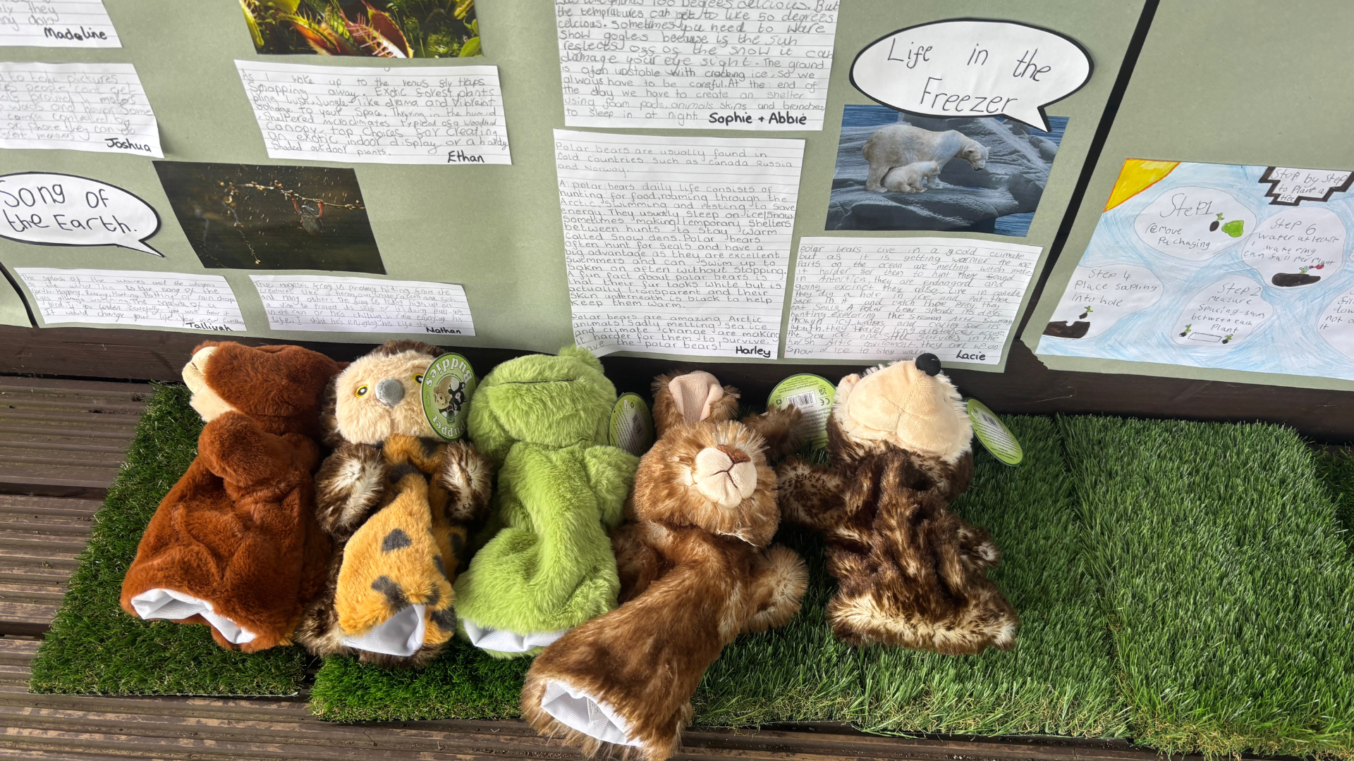 Newfield Climate Action Festival