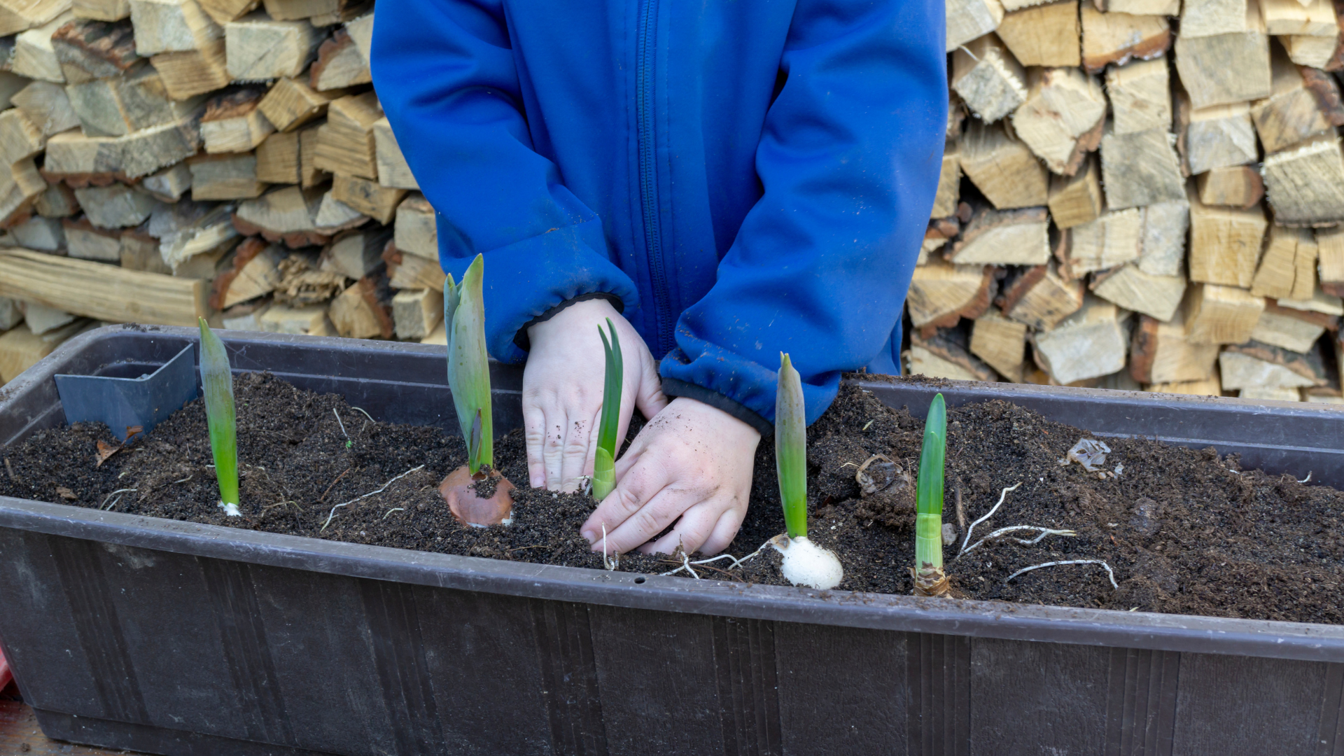 Little Green Growers