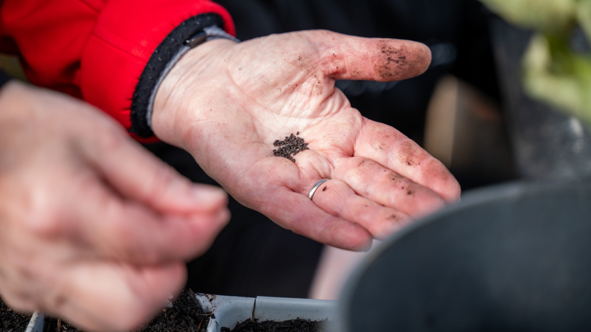 Seed Saving Workshop